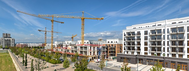 Grundsteuer Neubaunachfrage 11.2024